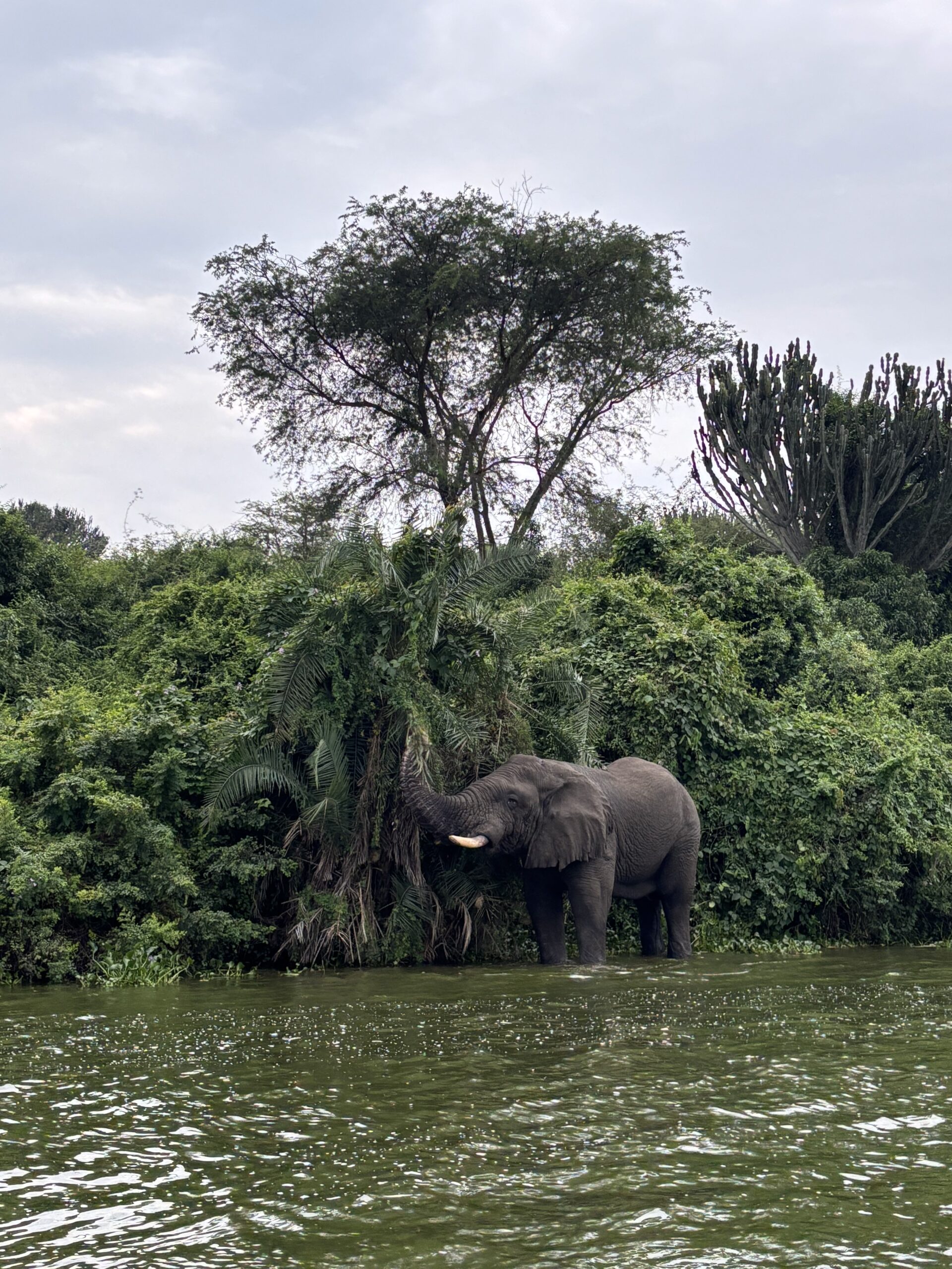 Discover Uganda by it’s waters!