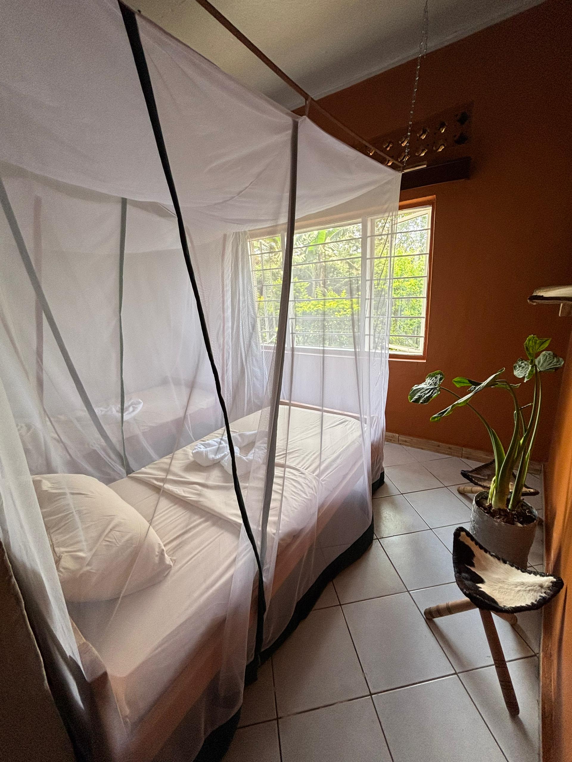 Double or twin room
