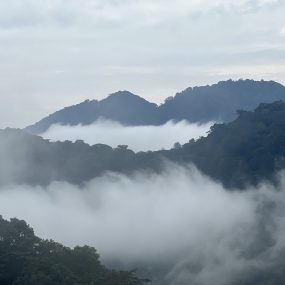 IMG_5591