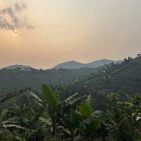 IMG_6506